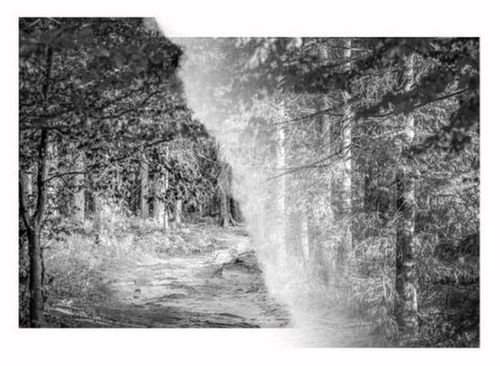 Ammertal / Wicke: Da capo – Lyrik trifft auf Fotografie