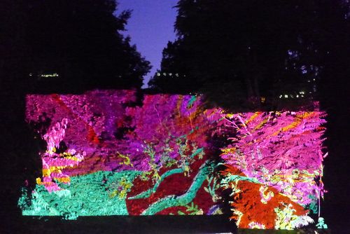 The Perspective Shifts – Non-human Perception Workshop